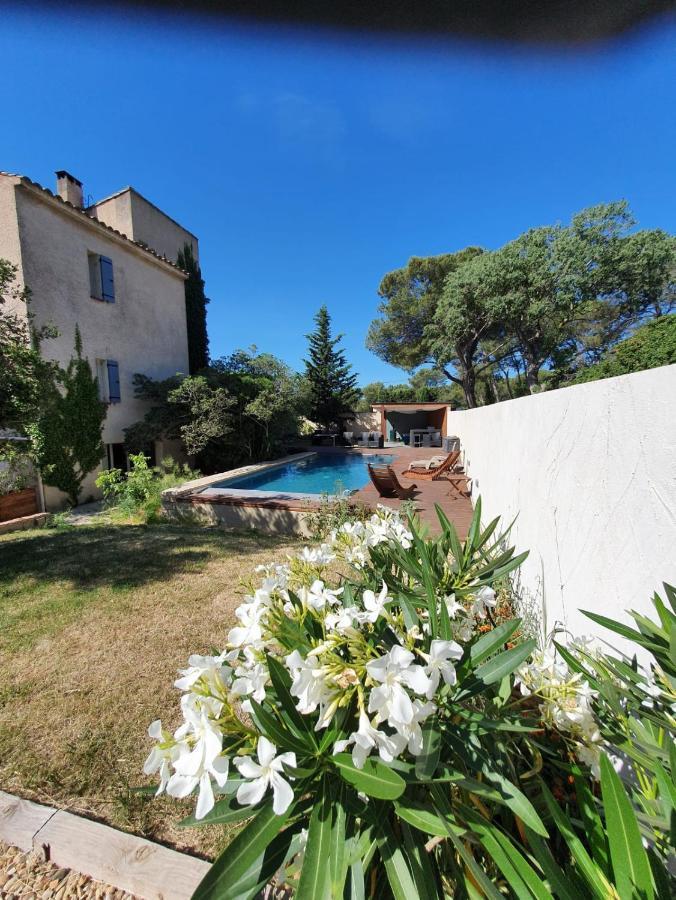 Homestay La Cigale Et La Fourmi Nimes
