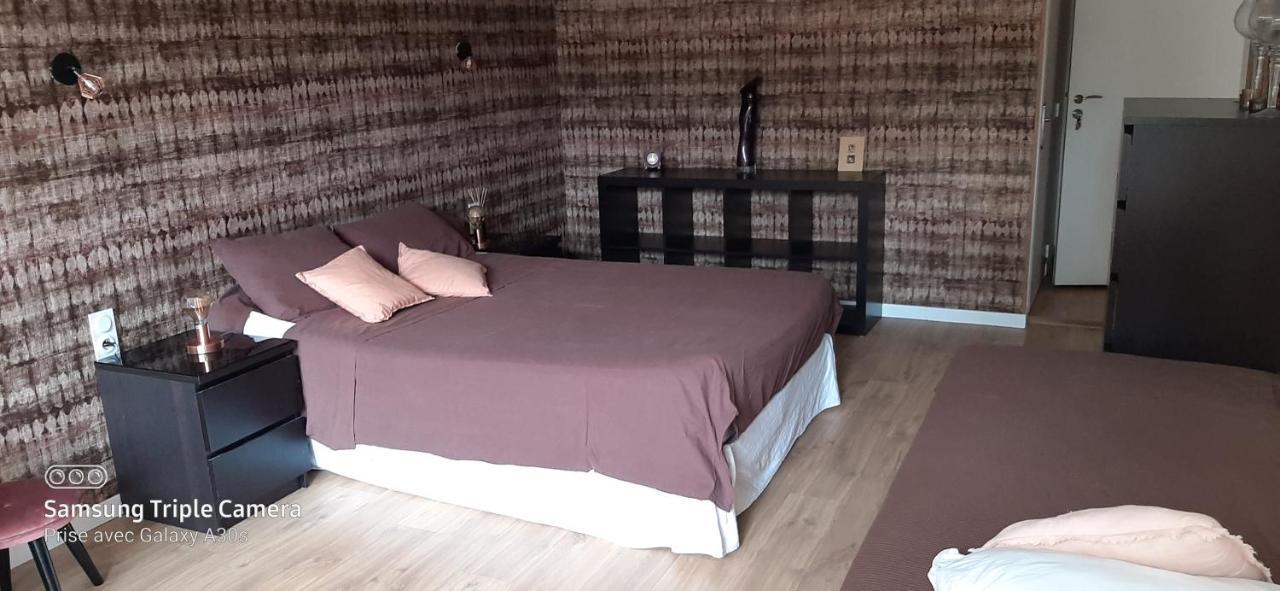 La Cigale Et La Fourmi Homestay Nimes